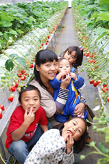 いちご狩り楽し～