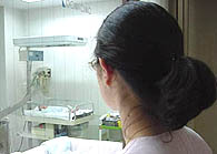 �K���X�z����