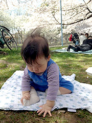 桜より、土に夢中