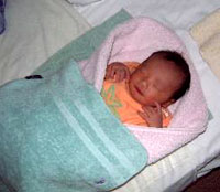 ���ؑ�œ_�H���󂯂�