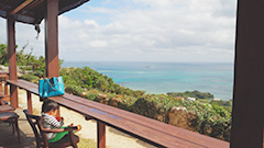 景色よりマンゴージュース